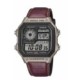 RELOJ CASIO AE-1200WHL-5AV - AE1200WHL-5AVE